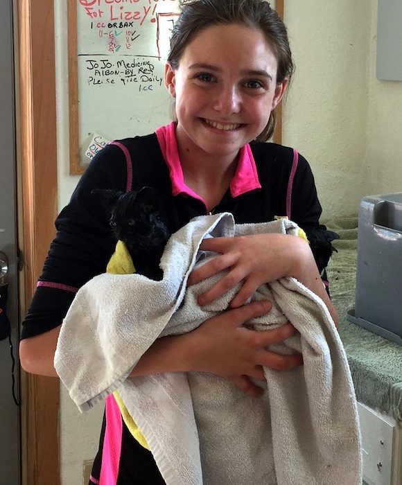 Kitten-Volunteer-1-580x700