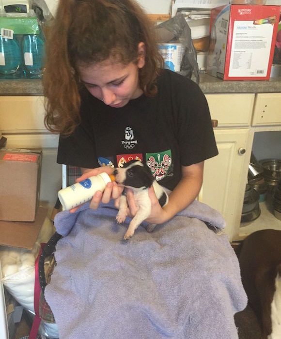 Volunteer_Bottle-Puppy-2-580x700